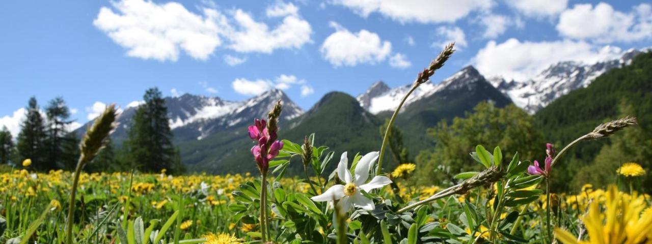 Nice Appt In Briancon Les Charmettes Eksteriør billede